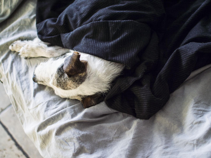 Milyen súlyozott takaró alatt aludni? 1. tesztalany