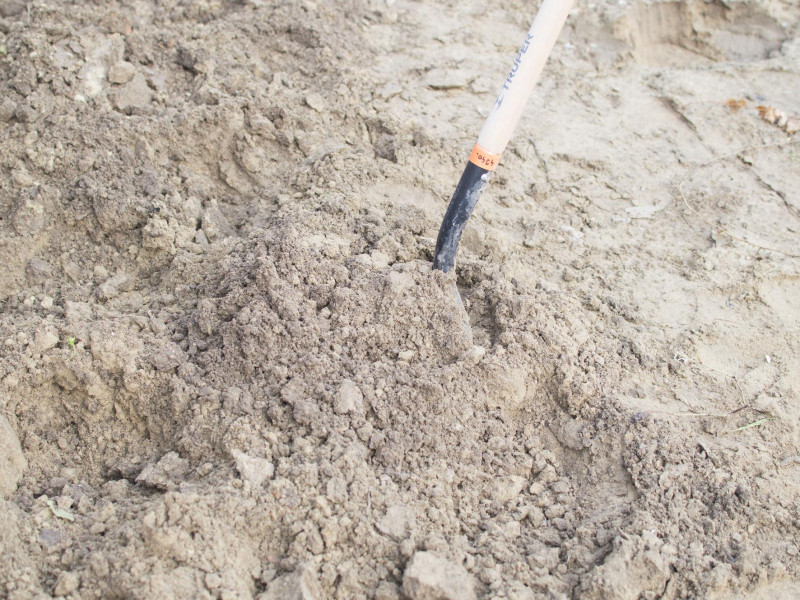 Mutatjuk hogyan készítsd elő a talajt a magoknak!